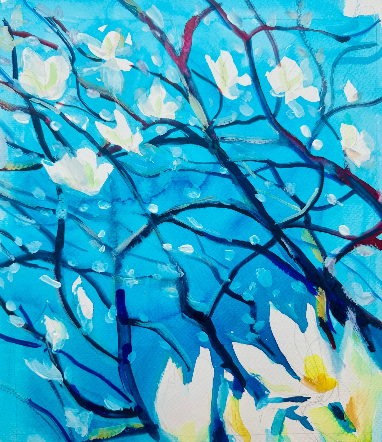 Magnolias