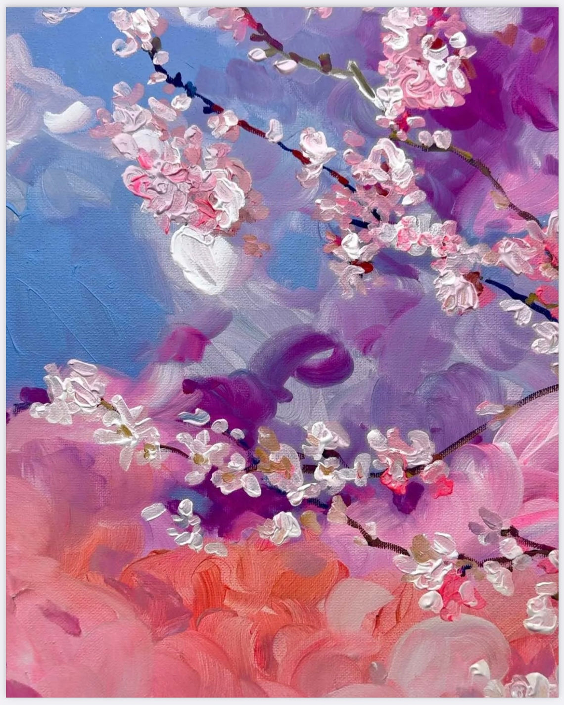 Spring cherry blossoms