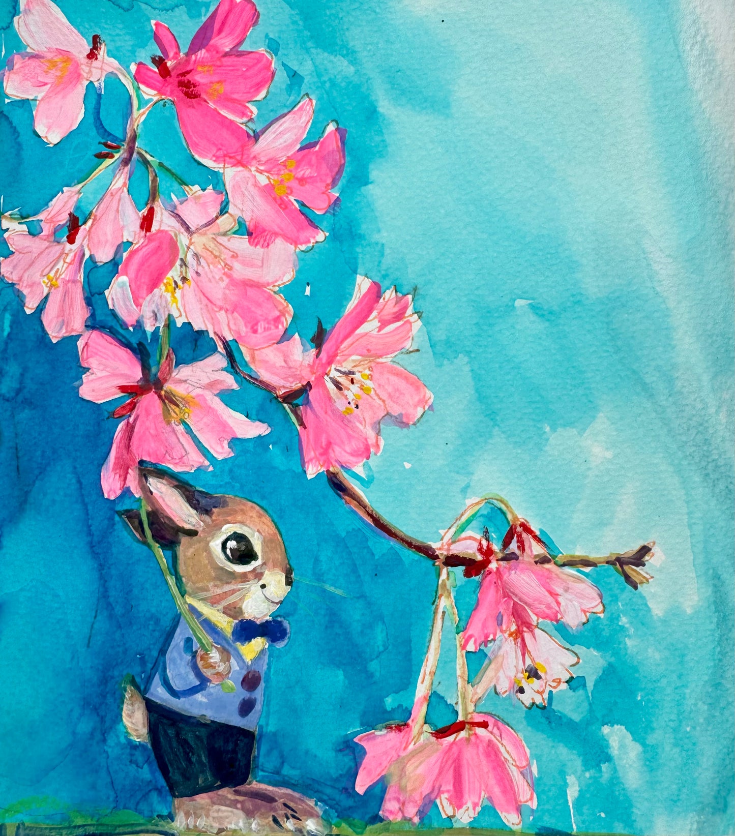 Spring bunny