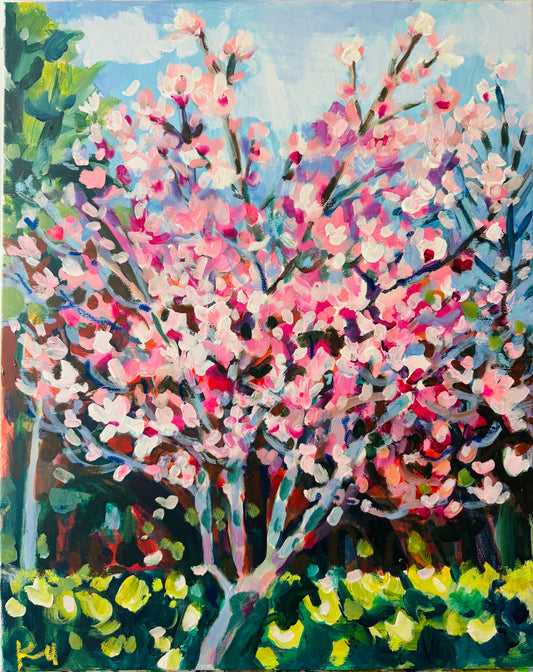 Magnolia