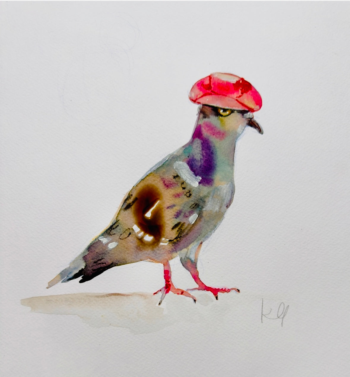 Cowboy Pigeon